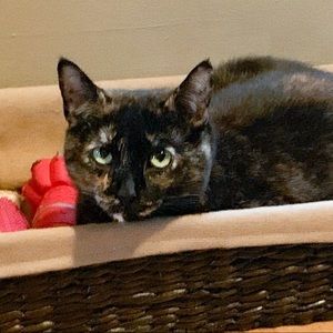 Meet your Posher, Karyn